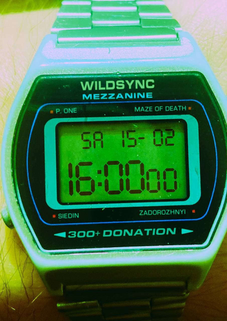 Wildsync 15/02/2025 (Mezzanine)